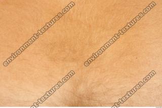 human skin hairy 0011